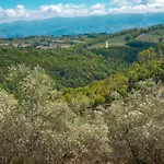 Διαμέρισμα Le Gialle
