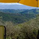 Le Gialle Gualdo Cattaneo