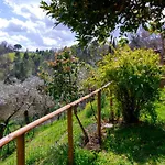 Le Gialle Διαμέρισμα