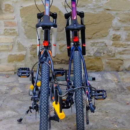 Le Gialle Daire